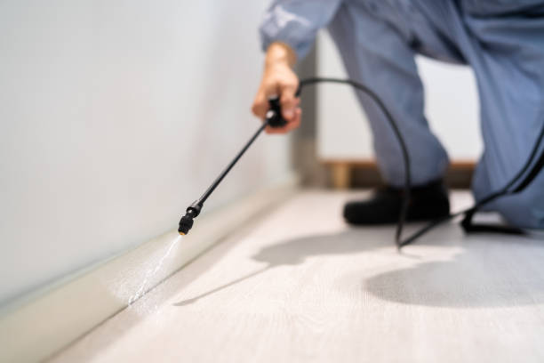 Licensed Cockroach Control service in Boutte, LA - Nex Pest Control